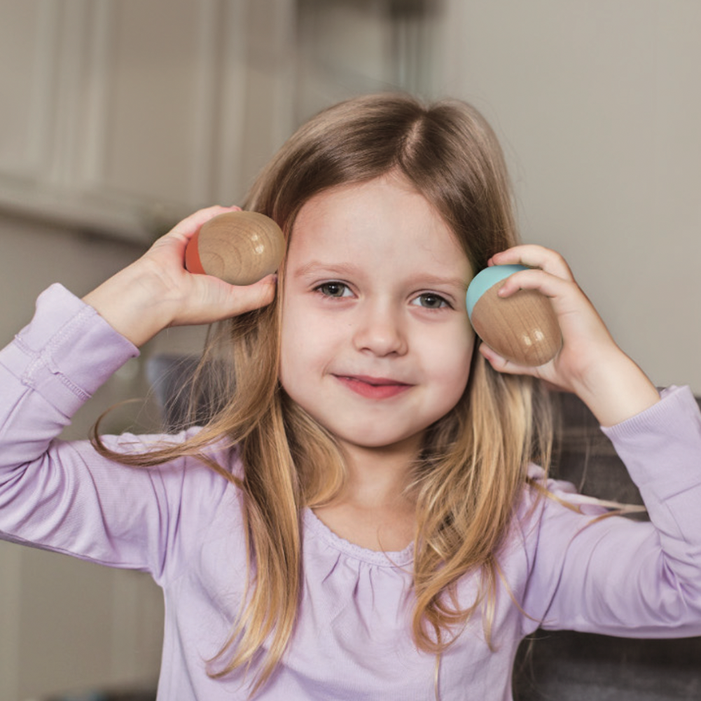 Juego de Instrumentos Musicales Montessori