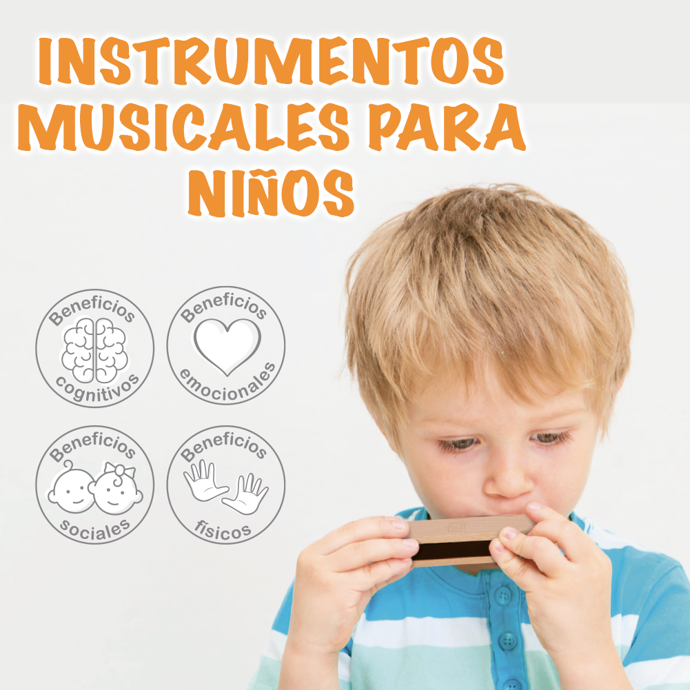 Juego de Instrumentos Musicales Montessori