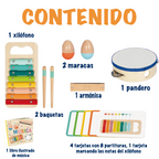 Juego de Instrumentos Musicales Montessori