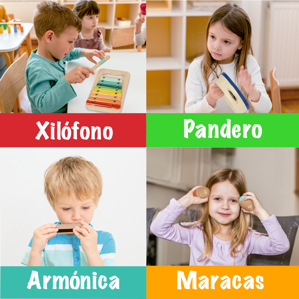 Juego de Instrumentos Musicales Montessori